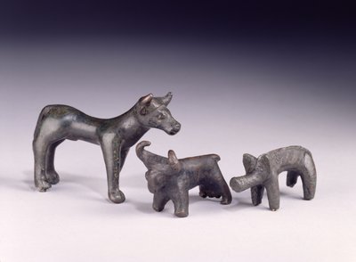 To okser, fra Ungarn og en villsvin, fra Gower Cave, Rhossilly, Sør-Wales, jernalder (bronse) av Iron Age
