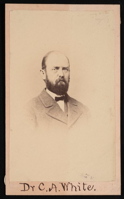 Portrett av Charles Abiathar White 1826-1910, 1868. av Isaac Augustus Wetherby