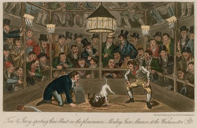 Tom og Jerry praktiserer fenomenet Monkey, Jacco Macacco, ved Westminster Pit av Isaac, Robert and George Cruikshank