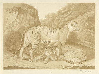 To tigre i et landskap av Isaac van Haastert (signed by artist)
