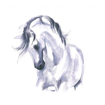 Studie av hest i bevegelse av Isabelle Brent