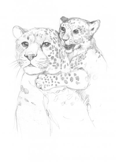Leoparder av Isabelle Brent
