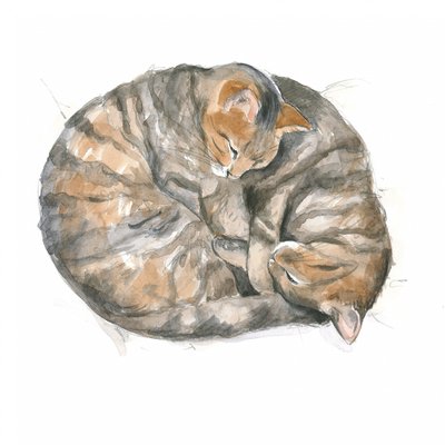 Runde katter av Isabelle Brent