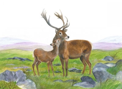 Hjort og ung hind av Isabelle Brent