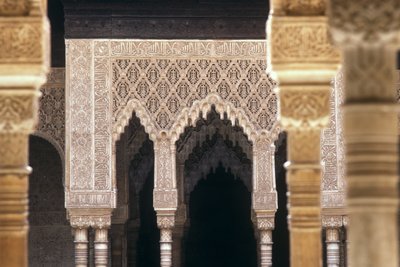 Detalj av buer i Lions Court (bilde) av Islamic School