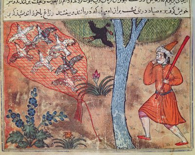 Hunting Birds, fra 