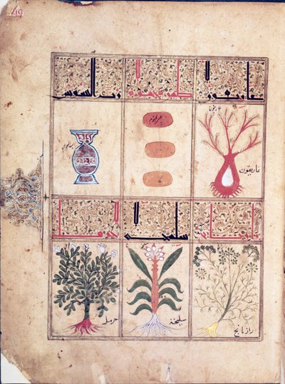 Ms. Arabe 2964 fol.49 Plants from the Treatise of Theriac after Galien, 1217 av Islamic School