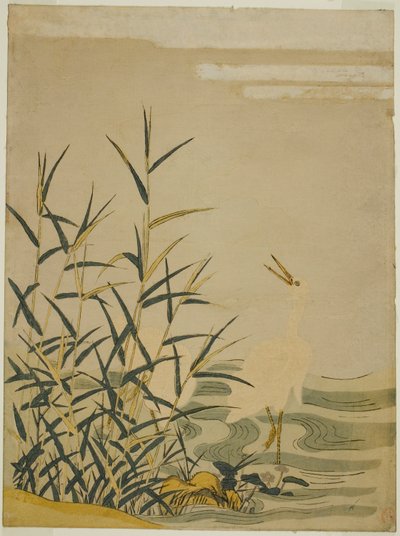 Egrets in the Reeds av Isoda Koryusai