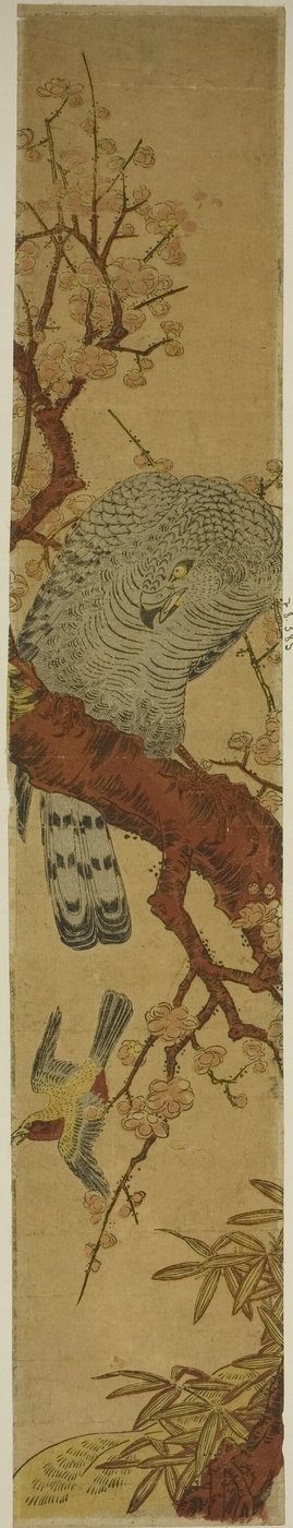 Hawk på plommegren ser ned på flyktende fugl av Isoda Koryusai