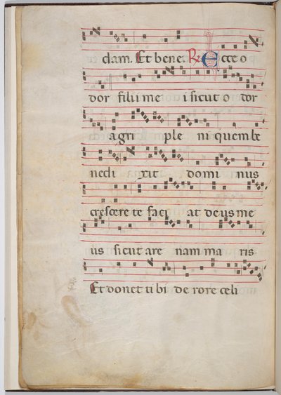 Blad 8 fra et antifonalt fragment (verso) av Italian 13th Century