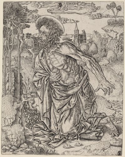 Den hellige Hieronymus i bot av Italian 16th Century