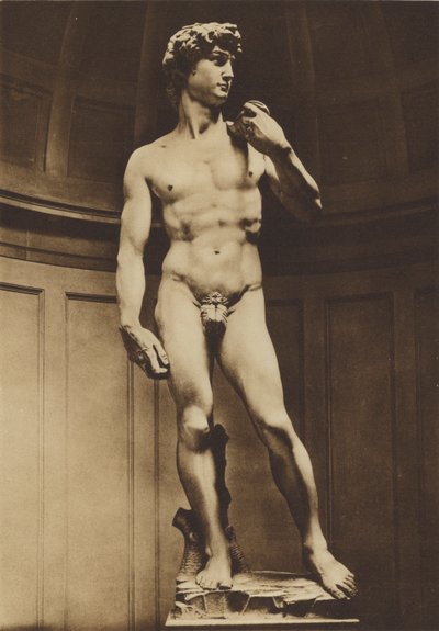 Firenze: Michelangelos David (s/h-bilde) av Italian Photographer
