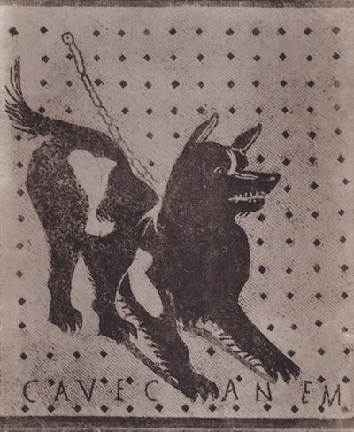 Mosaikk, Hulehund, Mosaikk, Hulehund (s/hvitt bilde) av Italian Photographer