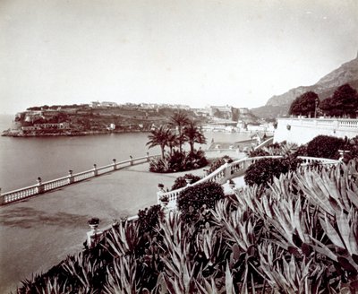 Panorama av Montecarlo. I forgrunnen tett vegetasjon av agaveplanter og kaktus av Italian Photographer