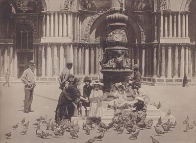 Piccioni (s/hvitt bilde) av Italian Photographer