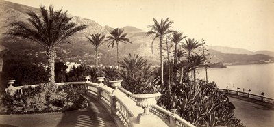Hagen til kasinoet i Monte Carlo, i fyrstedømmet Monaco av Italian Photographer