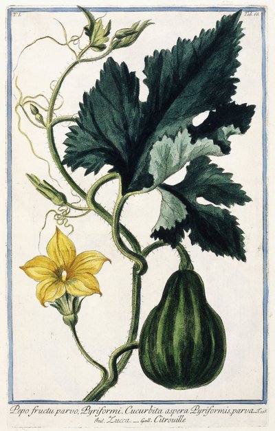 Et gresskar, 1772-1784 av Italian School