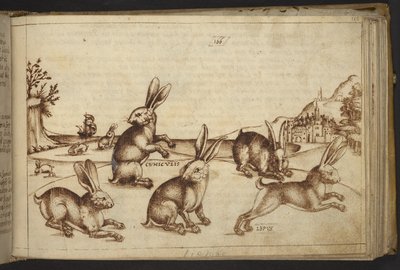 Legge til. 82955, f.165 Kaniner (