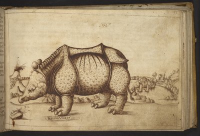 Legge til. 82955, f.172 Rhinocerous., fra Historia Animalium av Italian School