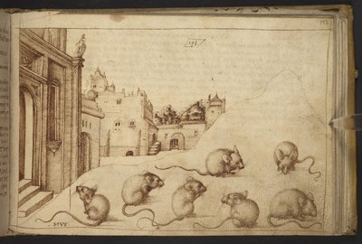 Legge til. 82955, f.192   Mus (