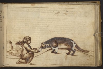 Legge til. 82955, f.193 Kjerub og en skapning. , fra Historia Animalium, (bestående av 245 penn-og-blekk-tegninger av forskjellige dyrearter og mytiske skapninger, hver ledsaget av en beskrivelse.) 1595 av Italian School