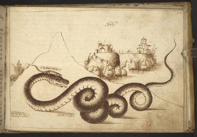 Legge til. 82955, f.242 En slange (