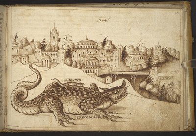 Legge til. 82955, f.243 En krokodille (
