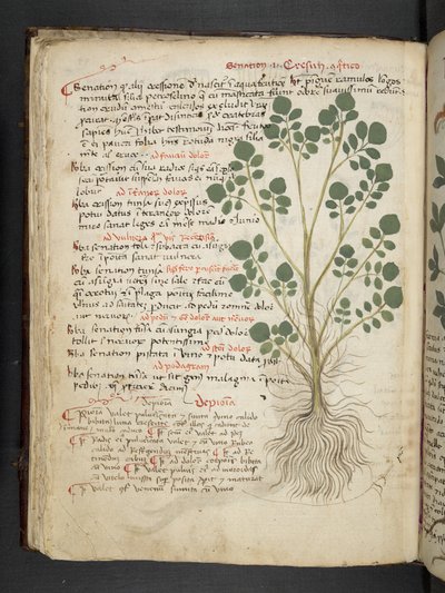 Legg til MS 41623 f.32v 