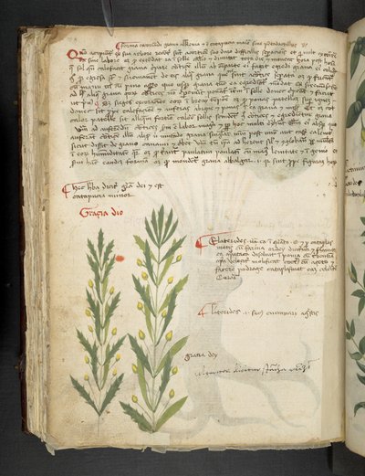 Legg til MS 41623 f.39v 