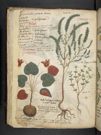 Legg til MS 41623 f.40v 