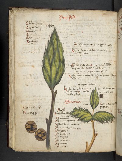 Legg til MS 41623 f.62v 