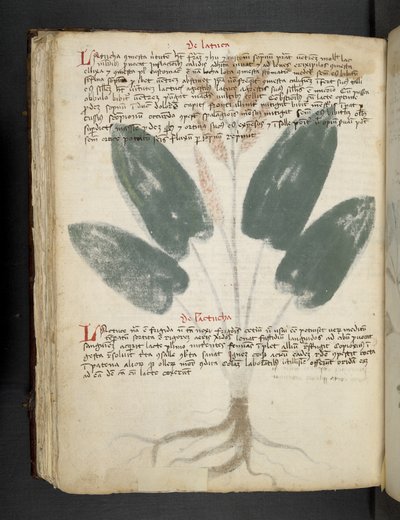 Legg til MS 41623 f.80v 