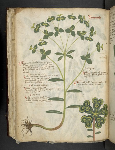 Legg til MS 41623 f.94v 