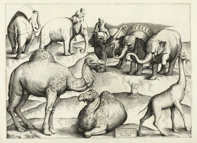 Dyremalerier fra det gamle Roma, Table, 3., pub. Antonio Lafrere 1528 av Italian School