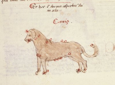 Konstellasjonen av hunden (Canis). Miniatyr fra "" Astronomica" av Biasino da Parma (Blaise de Parma) (1425-1457) av Italian School