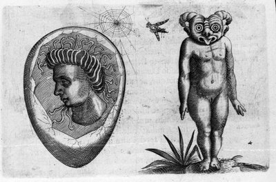 Ulike typer menneskelige monstre: en fossil mann og et monster. Gravering fra "Monstrenes natur, deres årsaker og forskjeller" av Fortunio Selvomi (1577-1656), italiensk vitenskapsmann. 1646 av Italian School