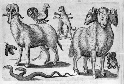 Ulike typer monstrøse dyr, med flere kropper eller en unormal mengde lemmer. Gravering fra "Monstrenes natur, årsaker og forskjeller" av Fortunio Liceti (1577-1656), italiensk vitenskapsmann. 1646 av Italian School