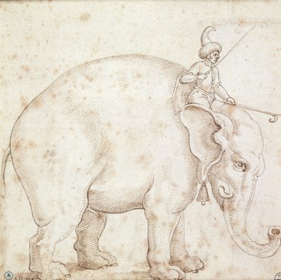 Elefant Hanno og hans Mahout av Italian School