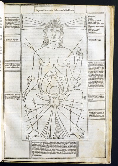 Kvinnelig anatomi fra Fasciculus Medicinae av Johannes de Ketham (d.c.1490) ca. 1507 av Italian School