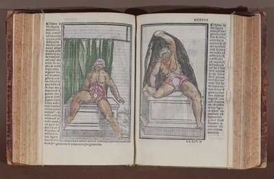 Kvinnelig anatomi, fra kommentarer om verdens anatomi med de største tilleggene, av Jacopo Berengario da Carpi (ca. 1460-c. 1530) utgitt i Bologna, 1521 (farget treblokktrykk) av Italian School