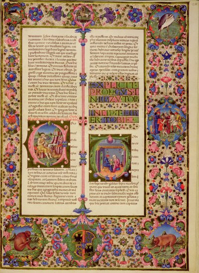 Fol.212r Tobys bok, fra Borso d