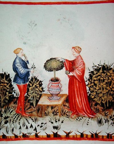 Fol.39v Gathering the Basilicum Curatum, illustrasjon fra 
