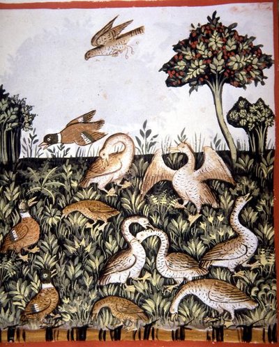 Fol.69v Ender og gjess, illustrasjon fra 