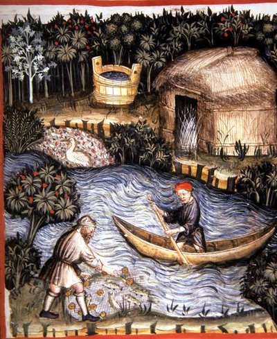 Fol.82r Fresh Fish, illustrasjon fra 