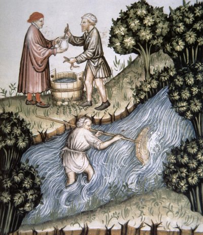 Fol.84r Fishing, illustrasjon fra Tacuinum Santiatis Codex Vindobonensis av Italian School