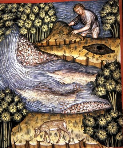 Fol.84v Amber, illustrasjon fra 