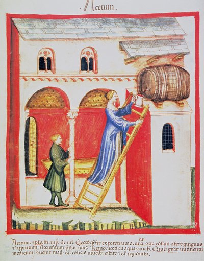 Fol.85v Eddik, illustrasjon fra Tacuinum Santiatis Codex Vindobonensis av Italian School