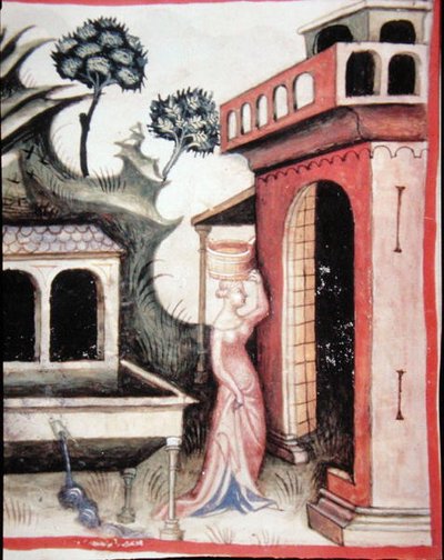 Fol.88v Kildevann, illustrasjon fra 