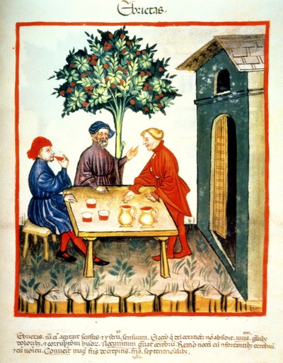 Fol.99r Drunkenness, illustrasjon fra Tacuinum Santiatis Codex Vindobonensis av Italian School