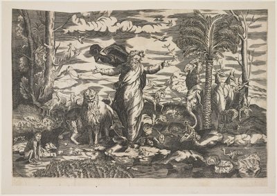 Gud skaper dyrene, ca. 1550 av Italian School